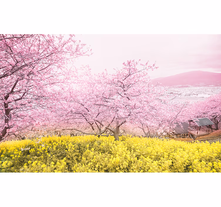 Kersenbloesem rust fotobehang bloemen - TenStickers