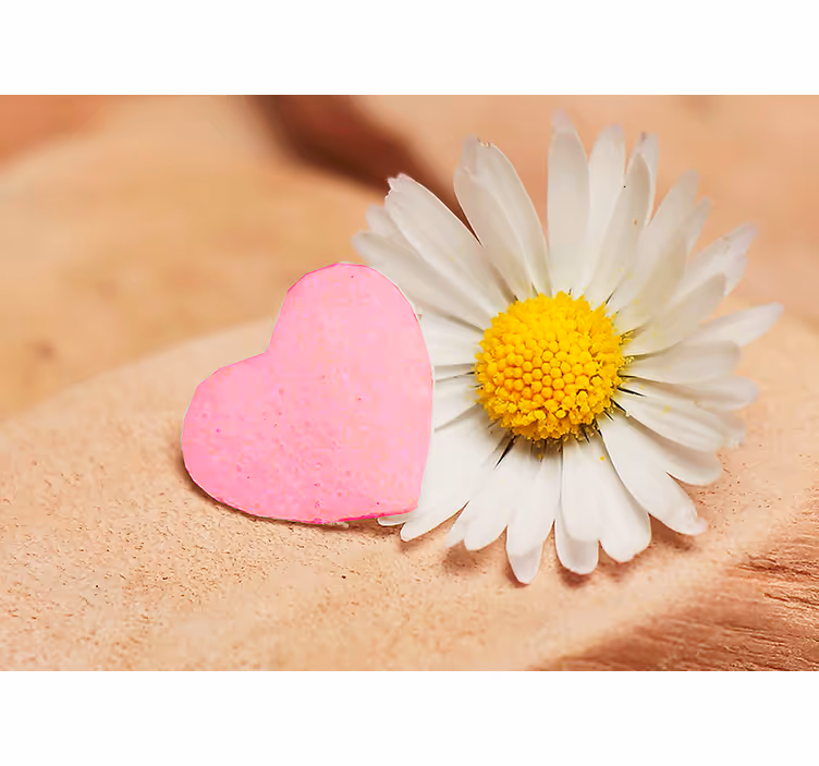 Hartbloem bloesem fotobehang liefde - TenStickers