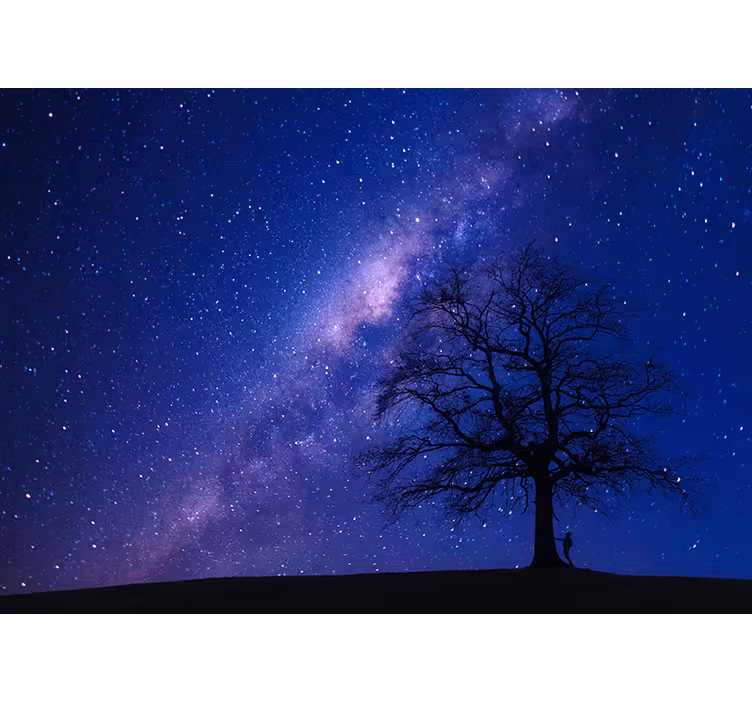 Astrale nachtzicht foto behang ruimte - TenStickers
