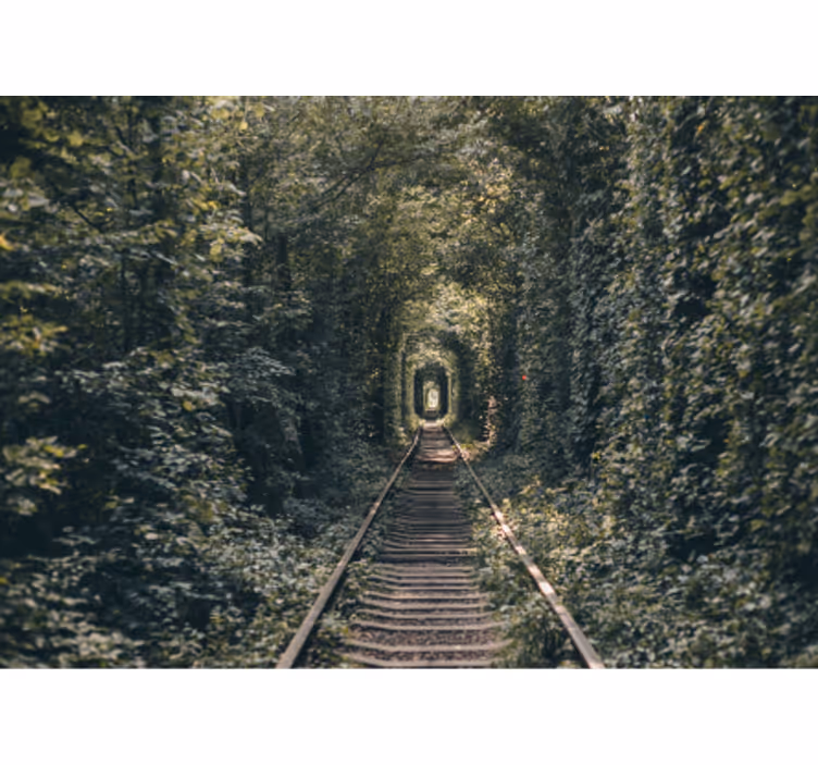 Bos tunnelpad fotobehang landschap - TenStickers