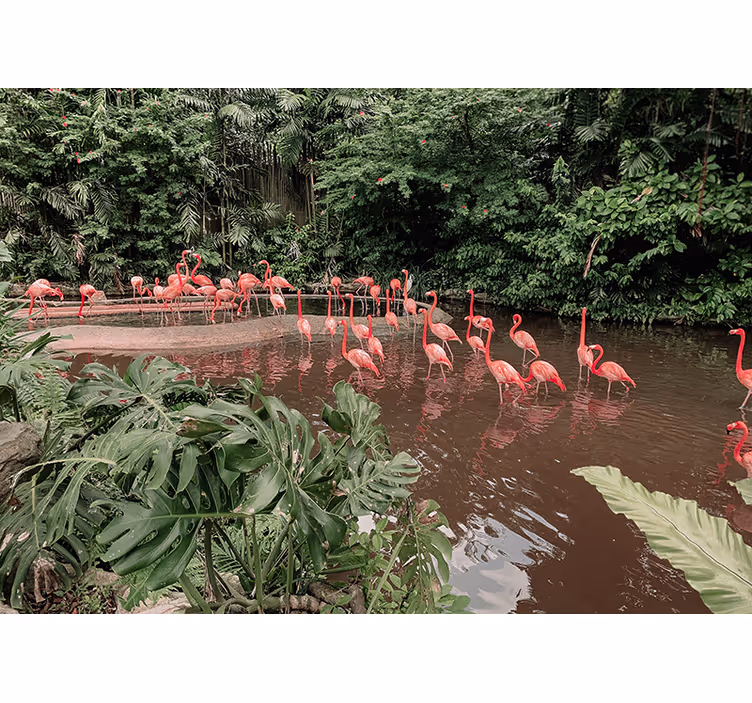 Flamingo's bij het water fotobehang dieren - TenStickers