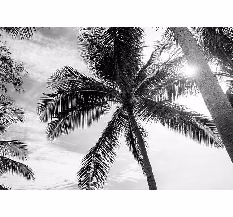 Tropische palmenscène fotobehang strand - TenStickers
