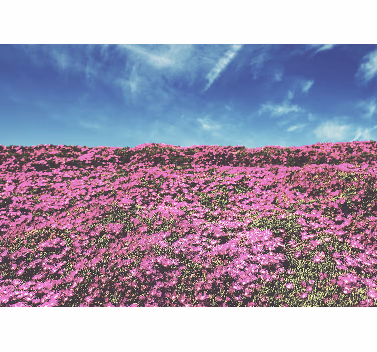 Levendige roze bloesems fotobehang bloemen - TenStickers