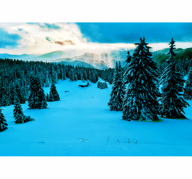 Besneeuwd dennenbos fotobehang landschap - TenStickers