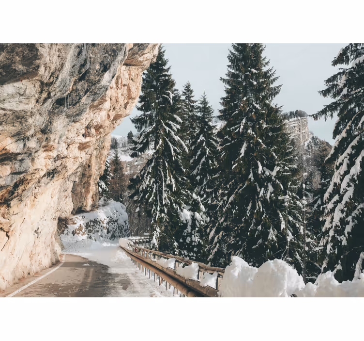 Winter dennenlandschap fotobehang landschap - TenStickers