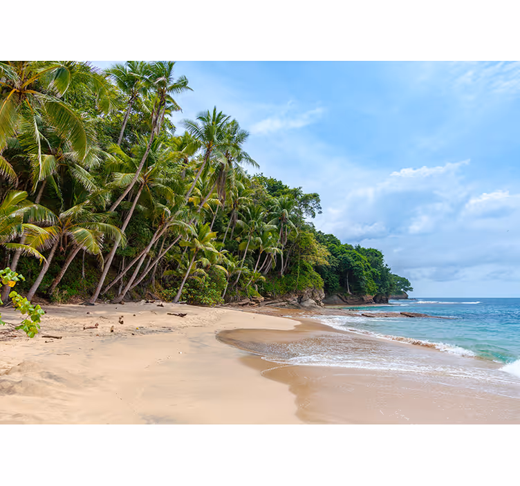Foto behang natuur tropisch strand oasis - TenStickers