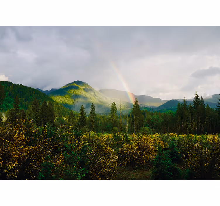 Bergachtig landschap foto behang natuur - TenStickers
