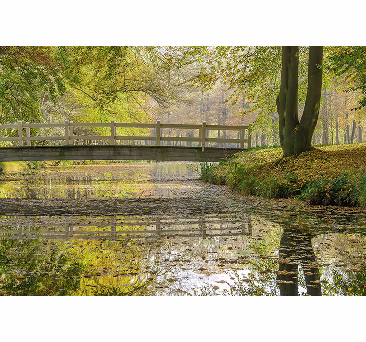Serene rivierbrug foto behang natuur - TenStickers