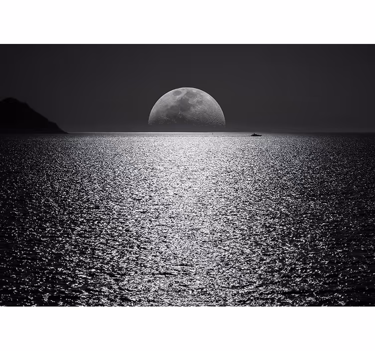 Uitzicht bij maanlicht fotobehang strand - TenStickers