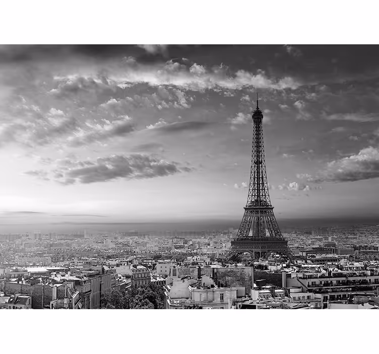 Fotobehang parijs uitzicht op de eiffeltoren - TenStickers