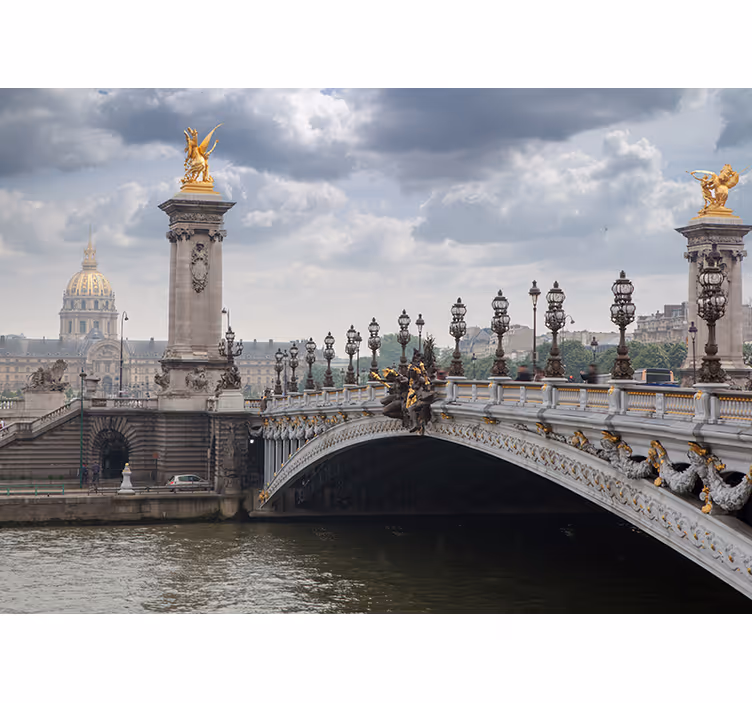 Uitzicht op pont alexandre iii fotobehang steden en landen - TenStickers