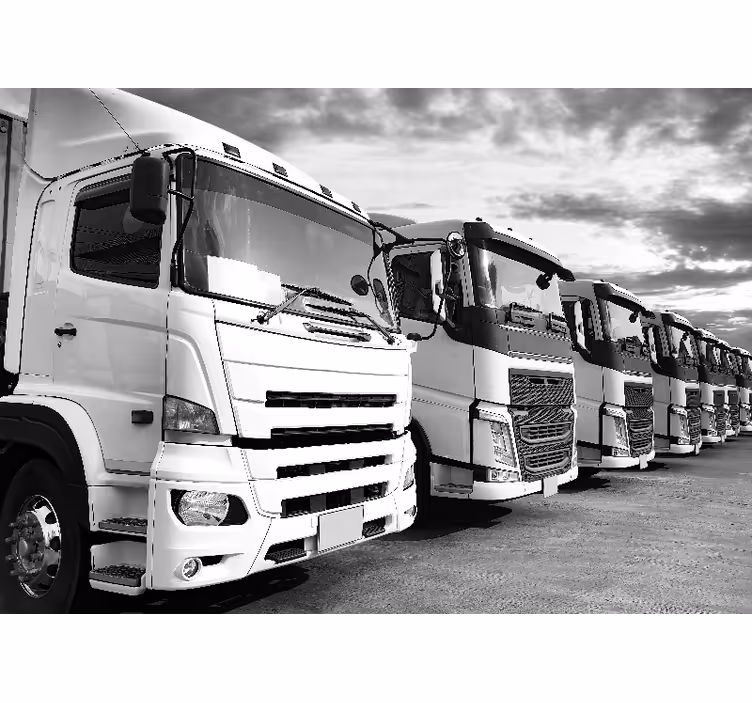 Fotobehang voertuigen trucks lineup - TenStickers