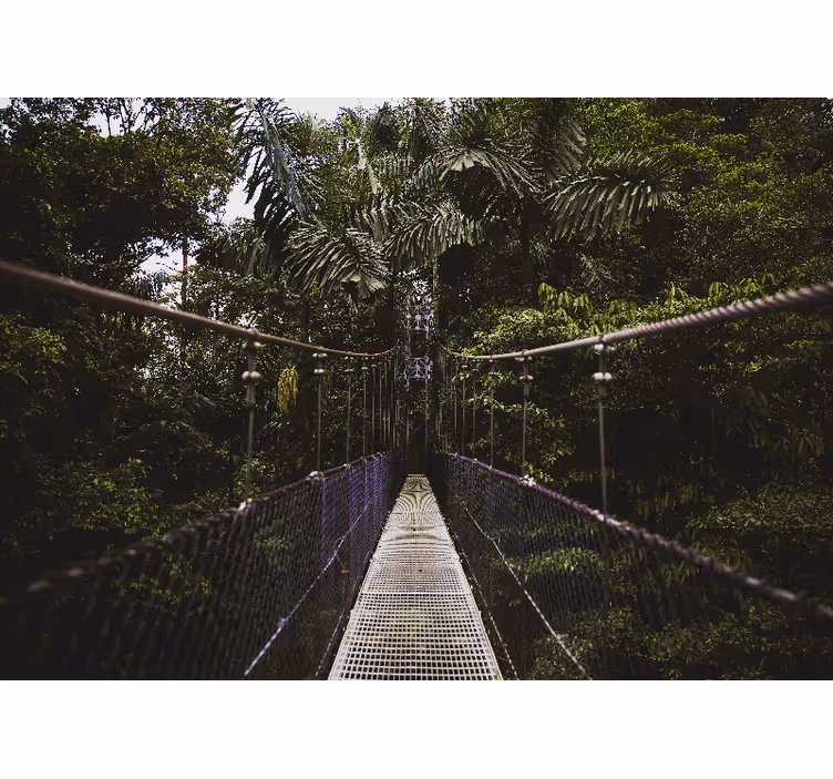 Hangbrug avontuur foto behang natuur - TenStickers