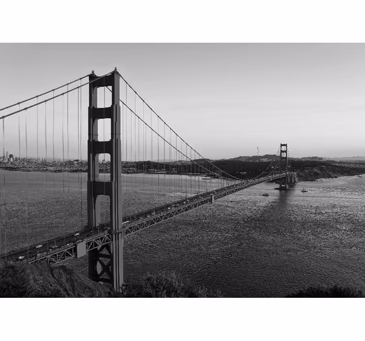 Fotobehang steden en landen golden gate structuur - TenStickers