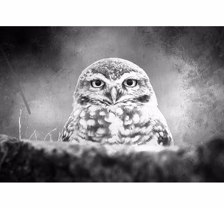 Majestueus uilenportret fotobehang dieren - TenStickers