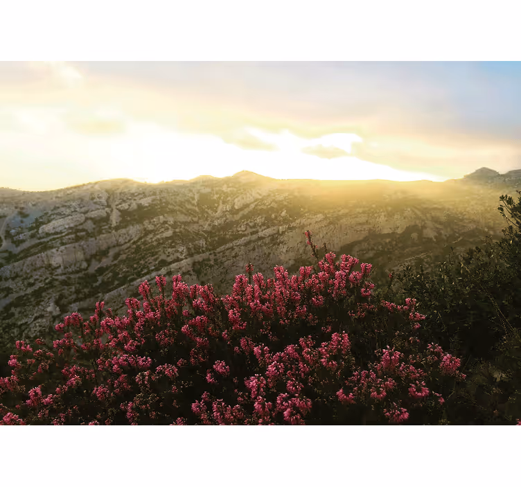 Foto behang natuur bloeiende roze flora - TenStickers