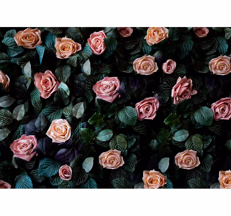 Romantische roos bloemig fotobehang bloemen - TenStickers