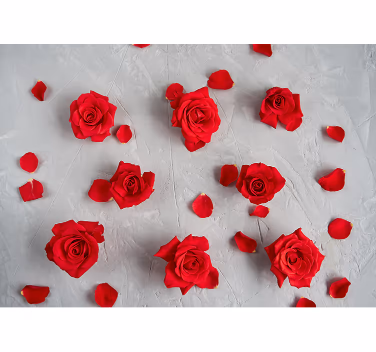 Rode rozenblaadjes fotobehang bloemen - TenStickers