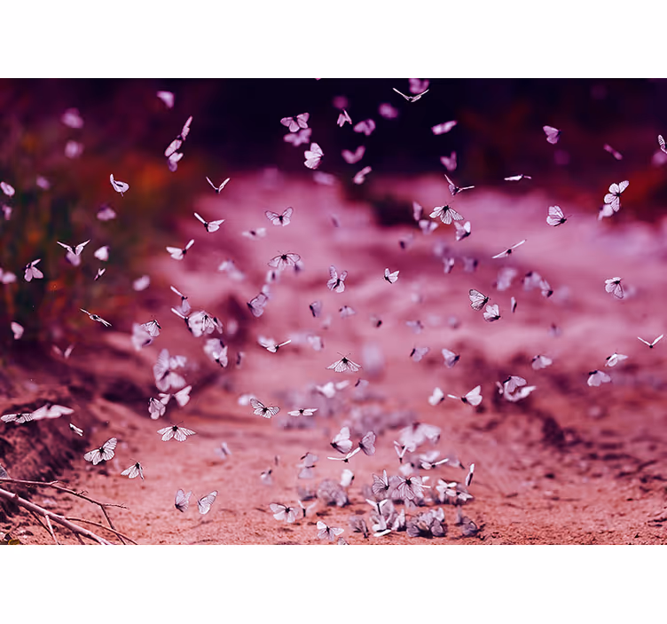 Delicate vlinderdans fotobehang bloemen - TenStickers