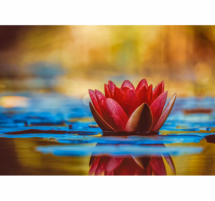 Magnolia fotobehang elegante waterlelie - TenStickers