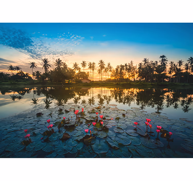 Serene lotusreflectie foto behang natuur - TenStickers