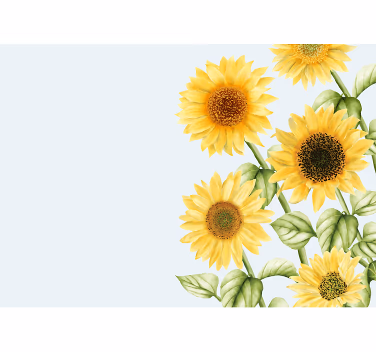 Zonnebloembloesems tentoonstellen fotobehang bloemen - TenStickers