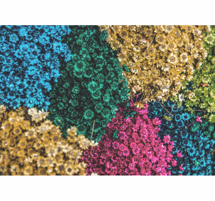 Fotobehang bloemen kleurrijke bloemmotieven - TenStickers