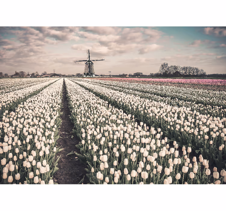 Fotobehang bloemen tulpenveld landschap - TenStickers