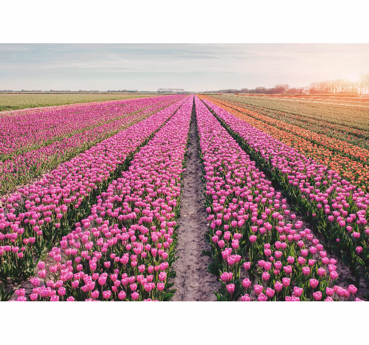 Fotobehang bloemen tulpenweide landschap - TenStickers