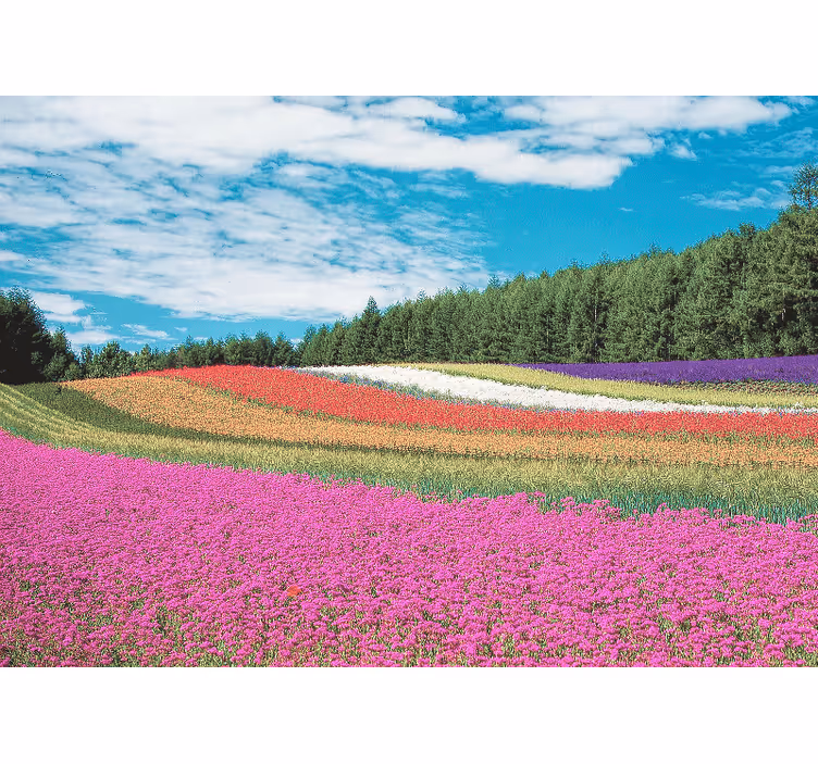 Fotobehang bloemen levendig bloemenlandschap - TenStickers