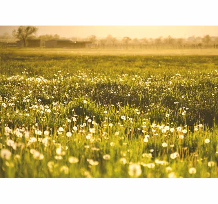 Fotobehang bloemen paardenbloemenweide scène - TenStickers