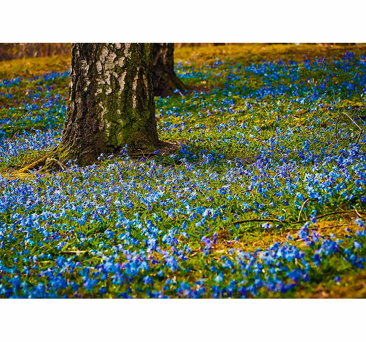 Fotobehang bloemen blauwebellengraslandschap - TenStickers
