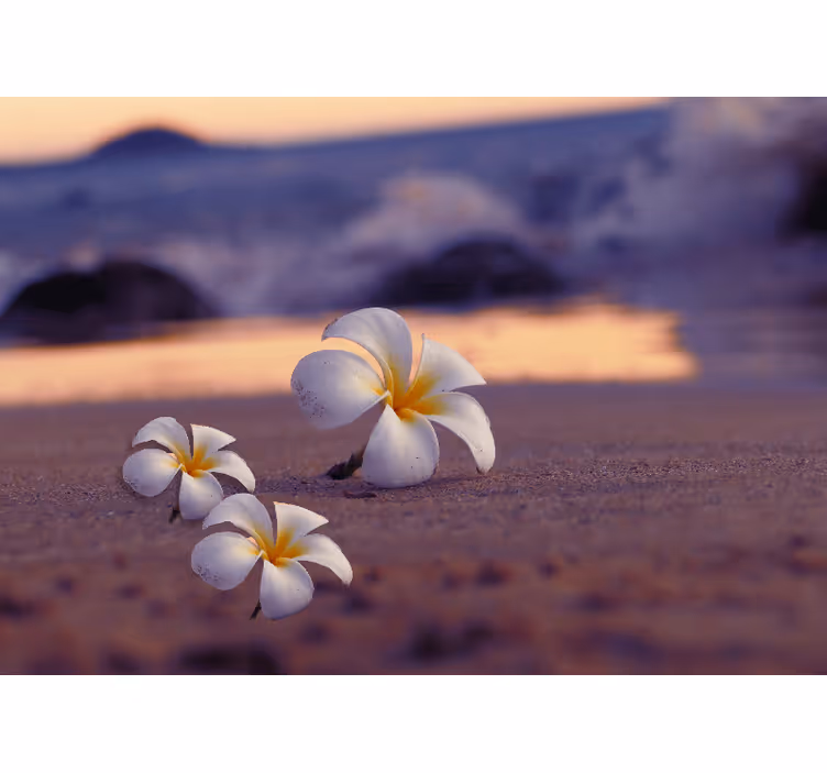 Fotobehang klaprozen tropische bloemen trio - TenStickers