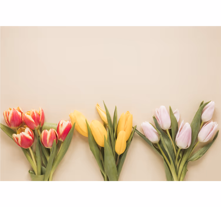 Fotobehang bloemen kleurige tulp arrangement - TenStickers