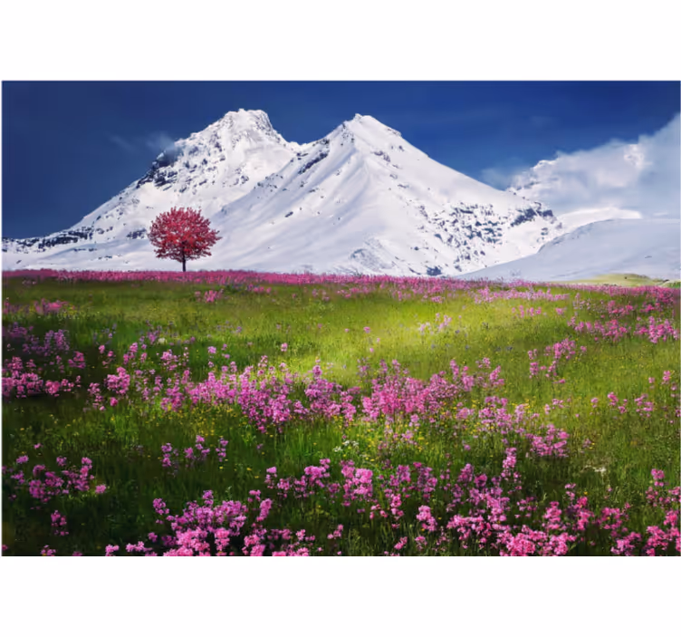 Fotobehang landschap bergweide uitzicht - TenStickers
