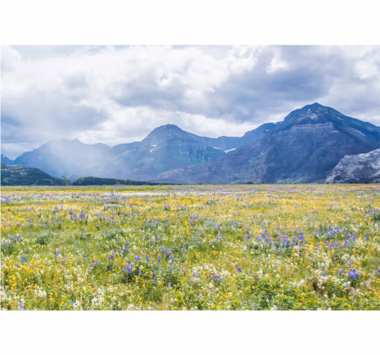 Fotobehang landschap bergbloemenveld - TenStickers