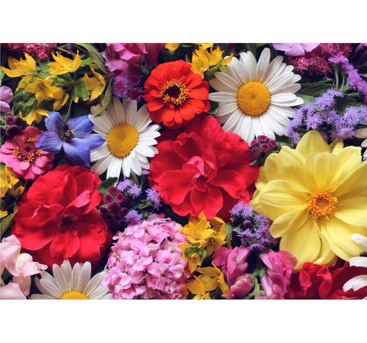 Fotobehang bloemen stralende bloemarrangementen - TenStickers