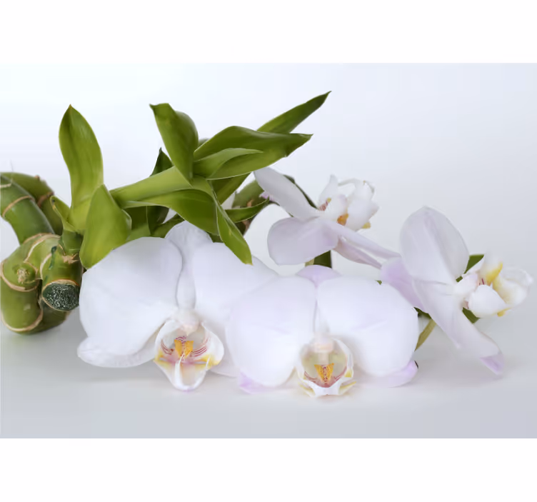 Orchideeën fotobehang elegante orchideeën arrangement - TenStickers