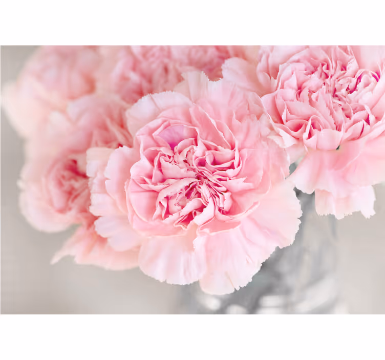 Fotobehang bloemen prachtige roze bloesems - TenStickers