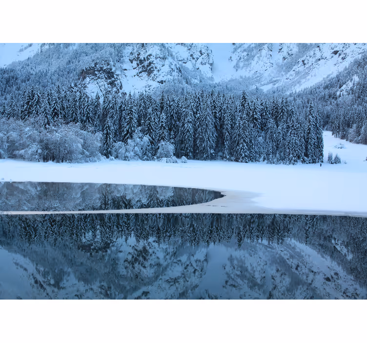 Fotobehang landschap serene winterlandschap - TenStickers