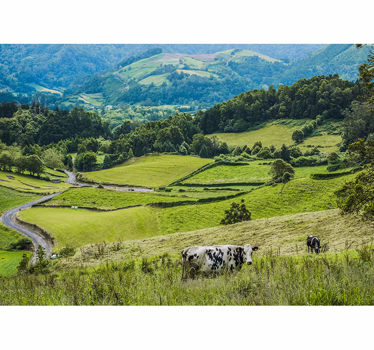 Fotobehang landschap rolling green fields - TenStickers