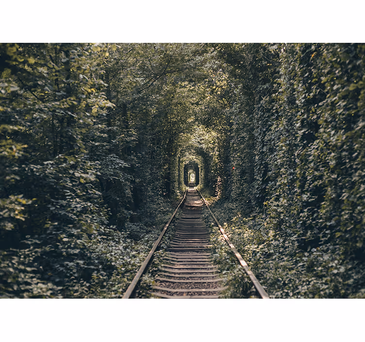 Fotobehang landschap spoortunnel natuur - TenStickers