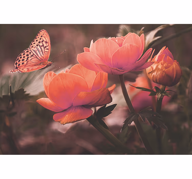 Fotobehang bloemen vlinder boven bloesems - TenStickers