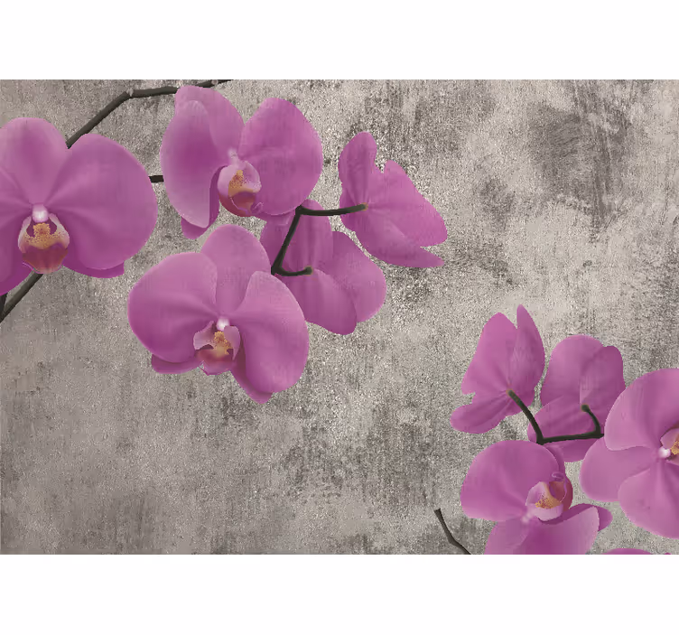 Fotobehang bloemen rozenorchideeën bloesems - TenStickers