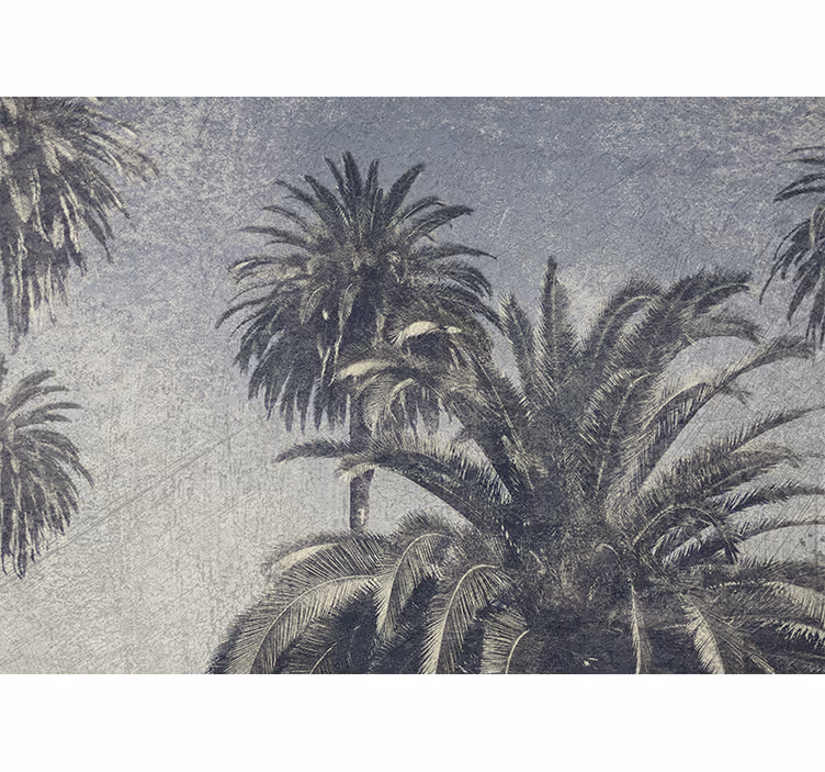 Foto behang natuur palmboom oase - TenStickers