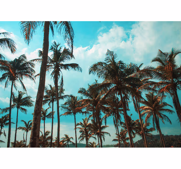 Foto behang natuur palm trees paradijs - TenStickers