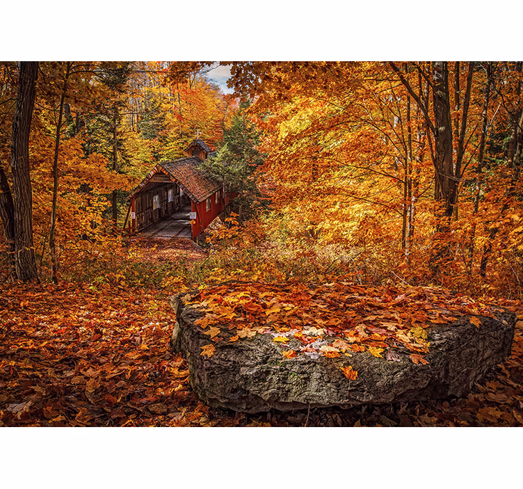 Fotobehang landschap herfstbrug - TenStickers