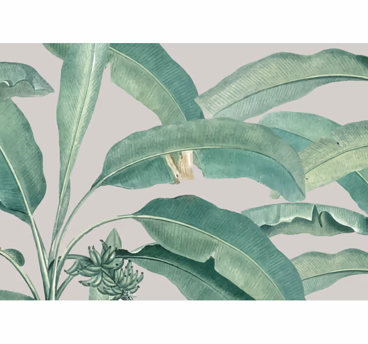 Tropische blad arrangement foto behang natuur - TenStickers