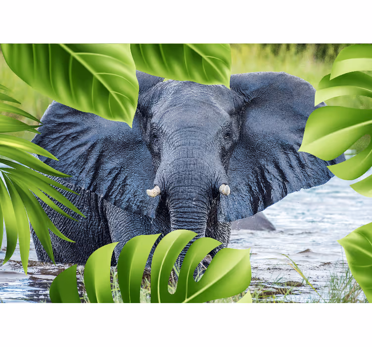 Fotobehang dieren koninklijke olifantenervaring - TenStickers