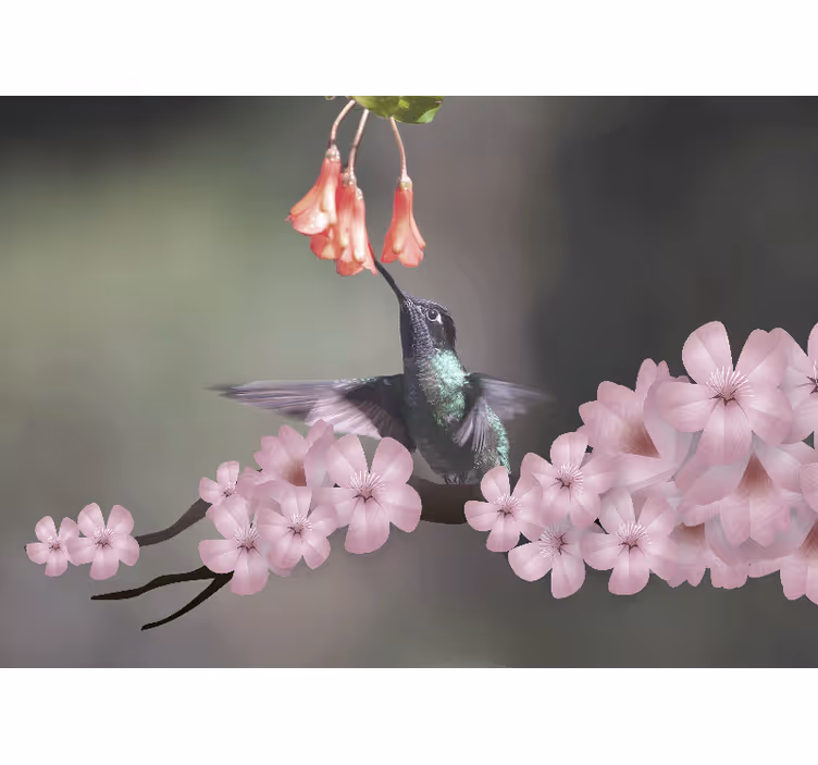 Fotobehang dieren kolibrie en bloemen - TenStickers